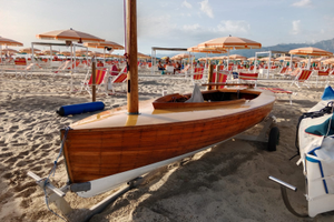 Finn Epoca Cedro Rosso del Libano 1951