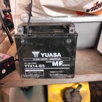 batteria yuasa ytx14-bs
