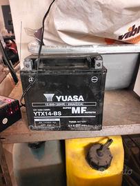 batteria yuasa ytx14-bs