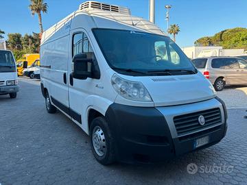 Fiat Ducato Frigo L2H2 2.3 MJ 120CV -20° ATP 2029 