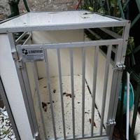 BOX PER CANI TAGLIA GRANDE