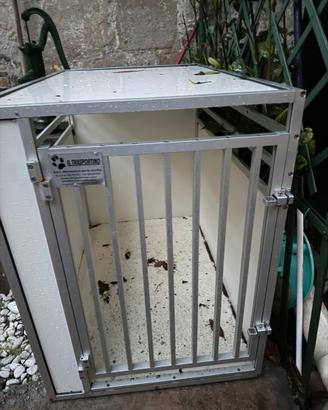 BOX PER CANI TAGLIA GRANDE