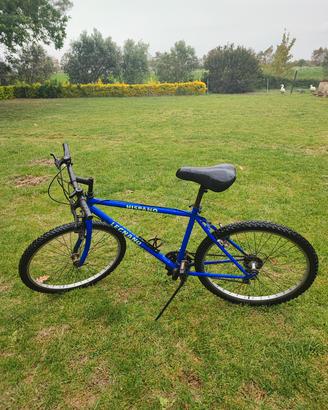 Bici Hispano