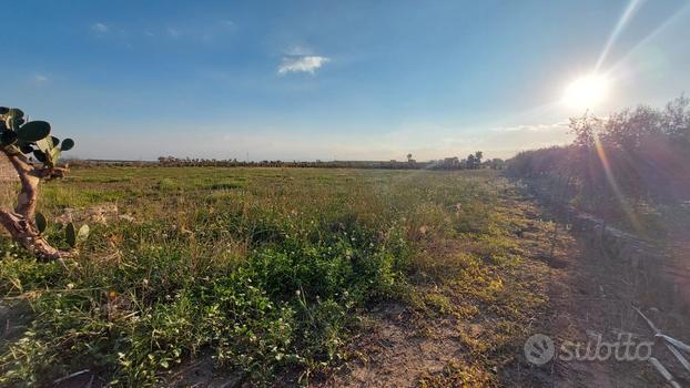 Terreno agricolo 1 ettaro a Paternò