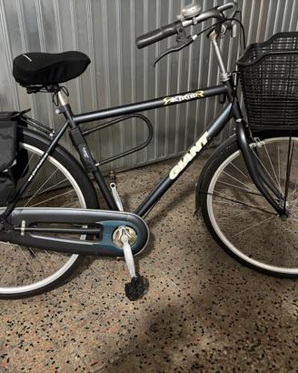 BICI GIANT