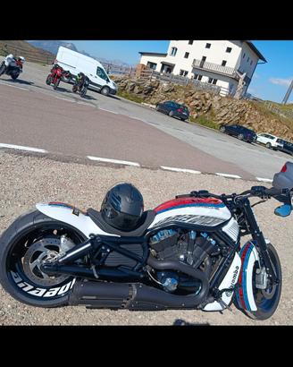 Harley  Davidson V Rod 1250 Martini