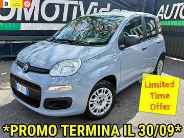 Fiat Panda 1.2 Easy *PRONTA CONSEGNA*