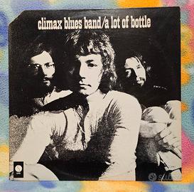 mini lotto due dischi rock blues 