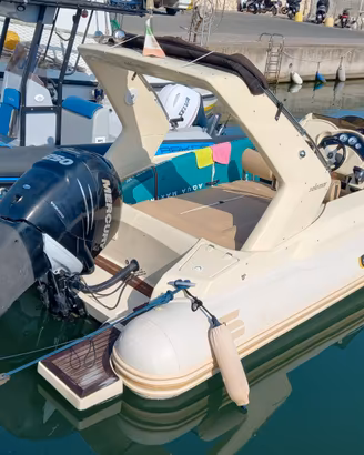 Solemar 23.1  con Mercury F 250 Verado Anno 2015