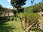 Immagine 7