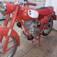 gilera giubileo 98
