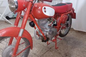 gilera giubileo 98