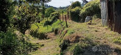 Terreno agricolo/coltivazioni/animali/fotovoltaico