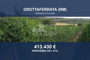 Immobile in asta di 151463 m² a Grottaferrata