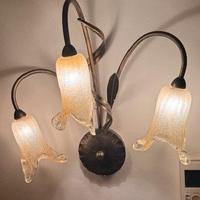 Lampade n. 2 pezzi - coppia di Applique con fiori