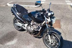 honda hornet 600 