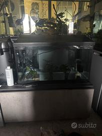Acquario 120 litri