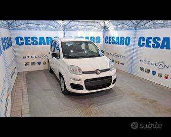 FIAT Panda 1.0 firefly hybrid Icon s&s 70cv 5p.t