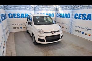 FIAT Panda 1.0 firefly hybrid Icon s&s 70cv 5p.t
