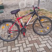  bici tutta alluminio.