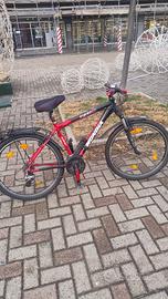  bici tutta alluminio.