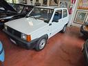 fiat-panda-900-i-e-cat-young