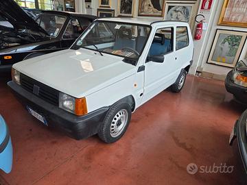 Fiat Panda 900 i.e. cat Young