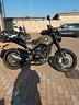 benelli-leoncino-500-trail
