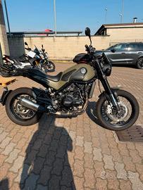 Benelli Leoncino 500 trail