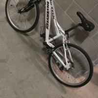 MTB 24 SILVESTAR  per Bambini