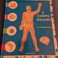 Il corpo umano in trasparenza Emme Edizioni 