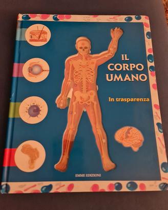 Il corpo umano in trasparenza Emme Edizioni 