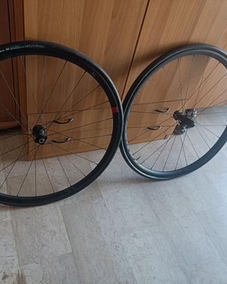 coppia ruote freni a disco 