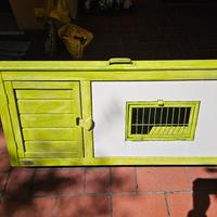 casetta gattini e conigli