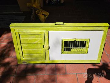 casetta gattini e conigli