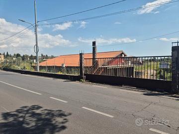 Locale con terreno Piano Tavola