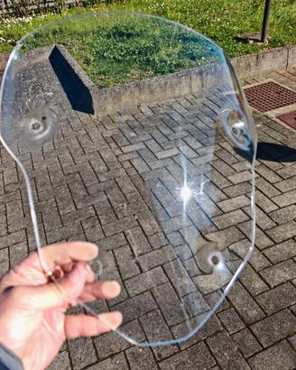 Cupolino per Triumph Tiger 900/850