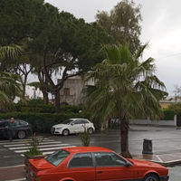 Maserati 2.24 Valvole II