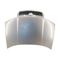 Cofano anteriore grigio Skoda Fabia 6Y del 2002