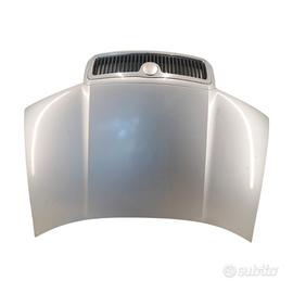 Cofano anteriore grigio Skoda Fabia 6Y del 2002