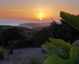 Appartamento fronte mare - Isola di Sant'Antioco