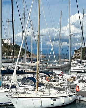 Barca a vela Dufour 27