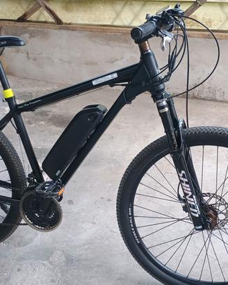 Bicicletta elettrica