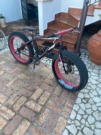 Bicicletta ruote grandi