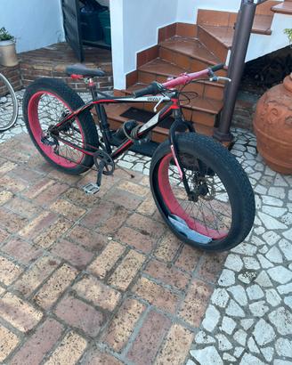 Bicicletta ruote grandi