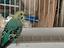 Immagine 2
