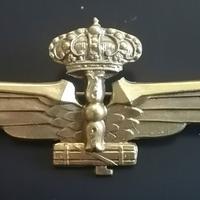Regia Aeronautica - brevetti di volo