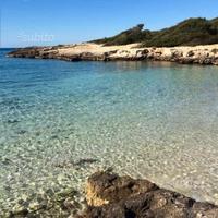 Il cappero salentino