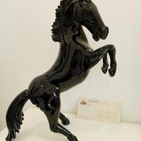 cavallo in murano