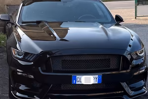 Mustang